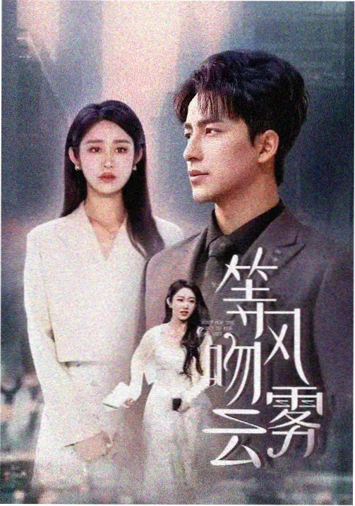 人人电影律政剧无声证词海报